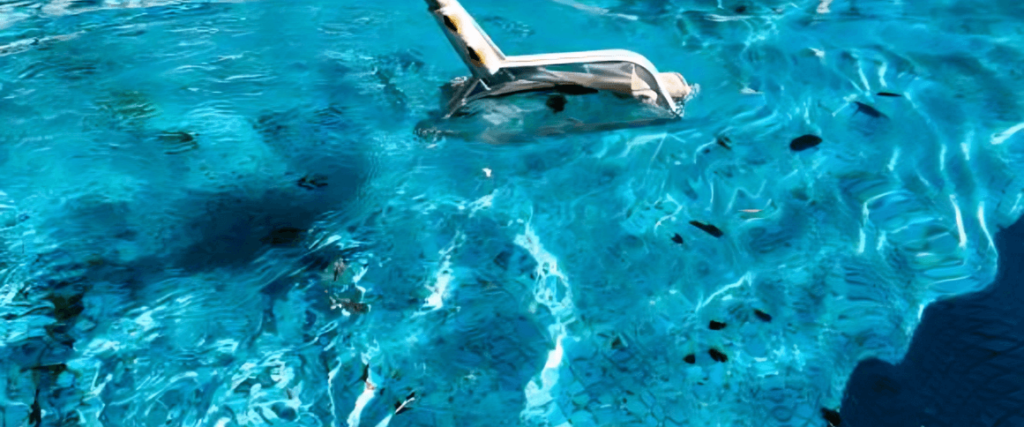 Clean Your Pool Regularly